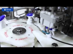 8 kafalı tabanca kapağı kapatma makinesi, LYL deterjan projesi